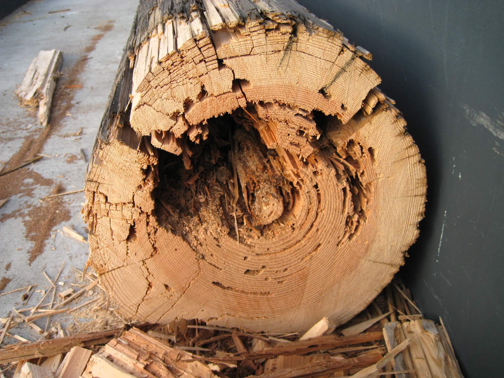 Does Wood Rot Over Time At Gail Hendershot Blog