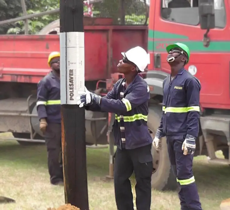 Pole Rot How ENEO Prevented Utility Pole Rot with Polesaver | Polesaver