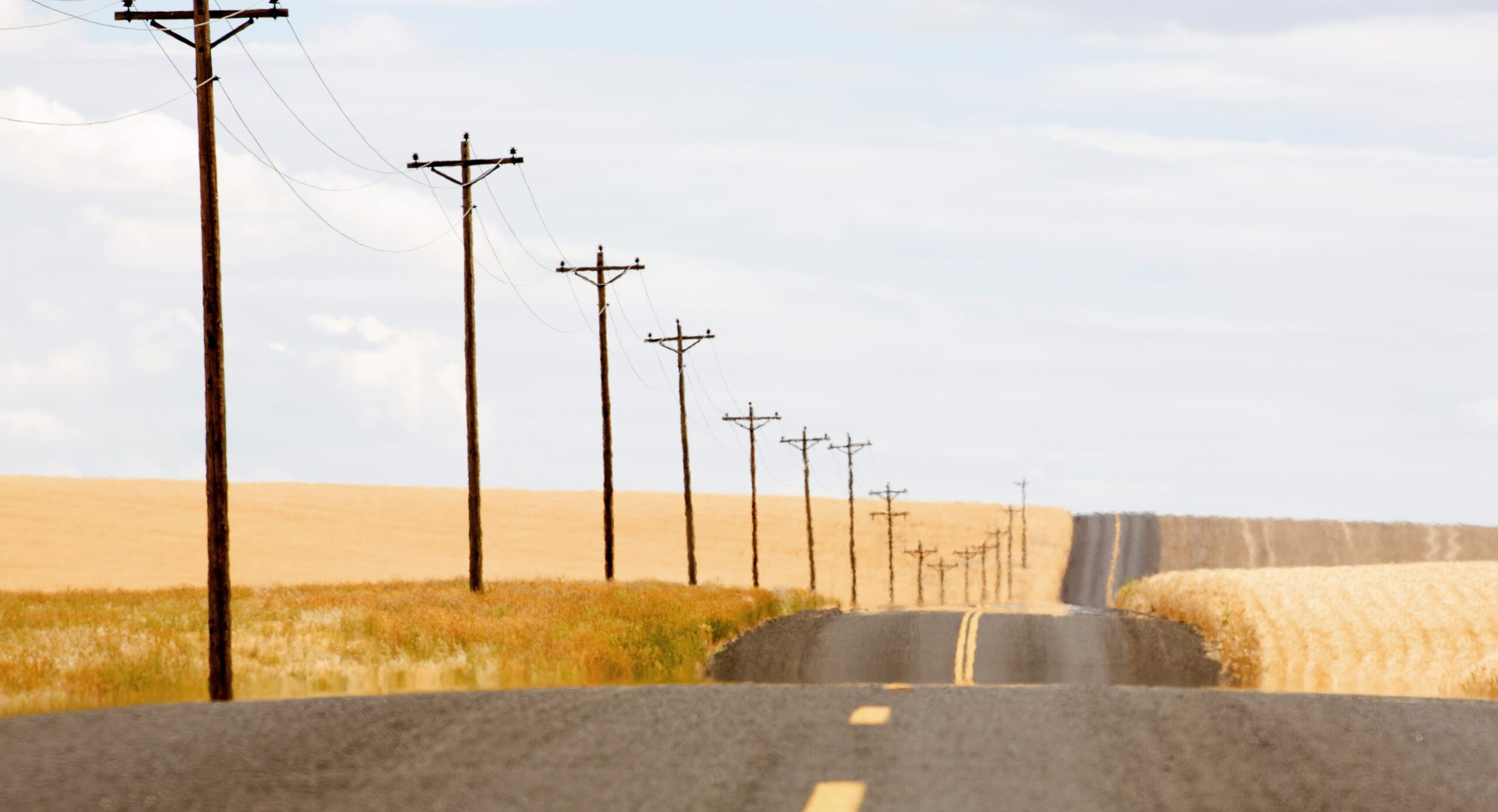Roadside power poles, Washington State, U.S.