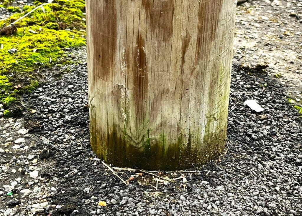 ACQ preservative treated pole after 10 years in field.